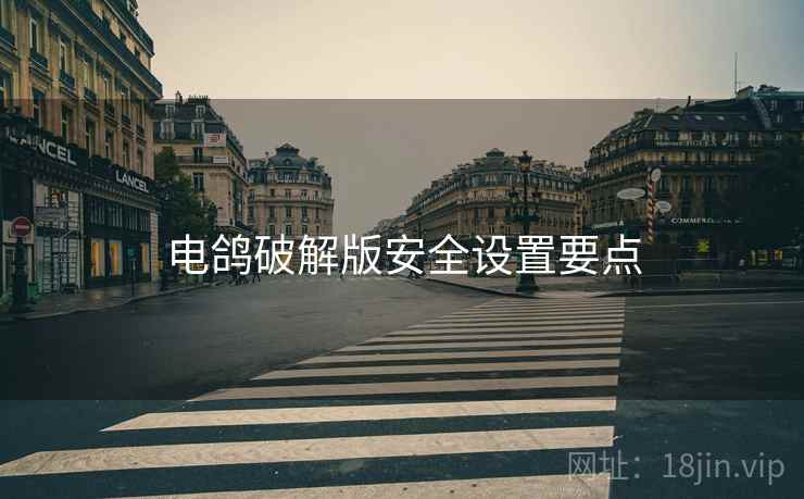 电鸽破解版安全设置要点