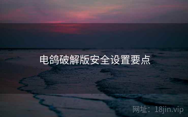 电鸽破解版安全设置要点