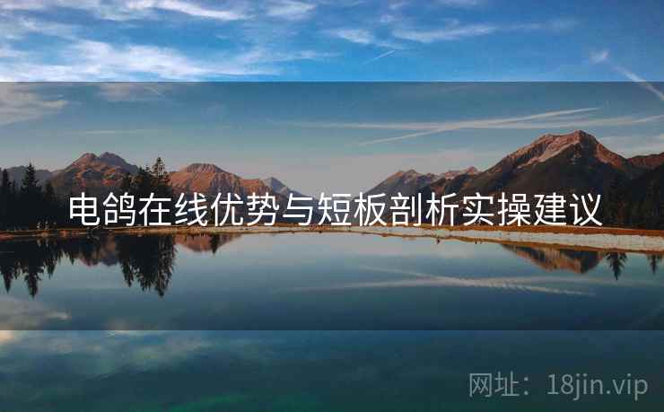 电鸽在线优势与短板剖析实操建议