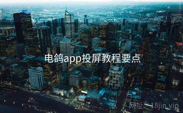 电鸽app投屏教程要点