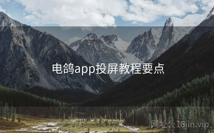 电鸽app投屏教程要点